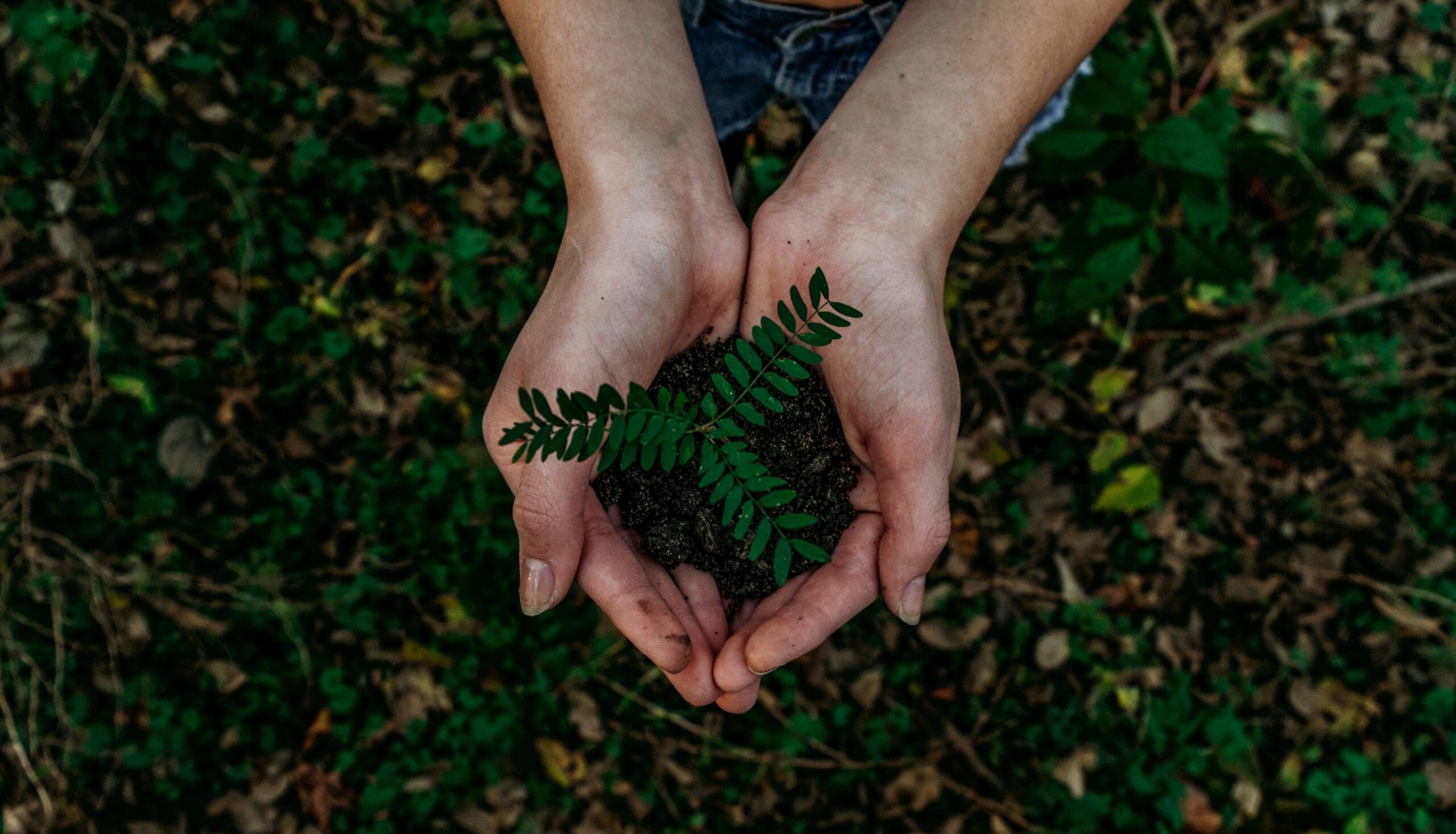 importancia de ESG